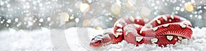 Festive Snake Among Christmas Decorations on Snowy Backdrop