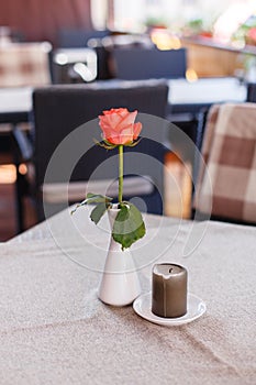 Festive table setting with red roses for Valentine`s Day at the restaurant.