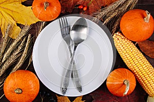 Festive table setting for Thanksgiving. Autumn and harvest concept.