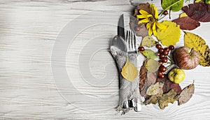 festive thanksgiving autumn cutlery setting and arrangement of colorful fall leaves, red berries