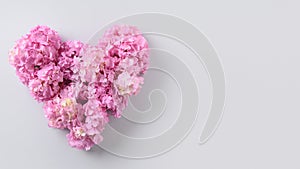 Festive Valentines day card of pink hydrangea flowers in shape of heart on grey. Love concept. Greeing card