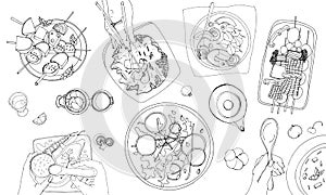 Festive vegetarian tableful, laid table, holidays hand drawn contour illustration, top view