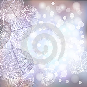 Festive winter background of bokeh lights with frame of hoarfrost leaves