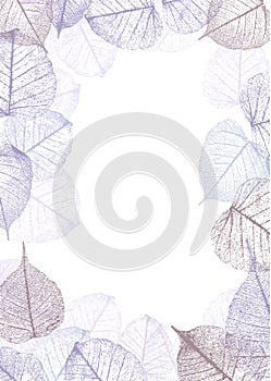 Festive winter background with frame of hoarfrost leaves