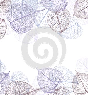 Festive winter background with frame of hoarfrost leaves