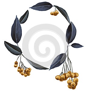 Festive wreath of yellow rowanberry and blue leaves isolated on white background