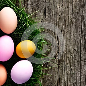 Festively colored eggs for Easter, in a hen\'s nest