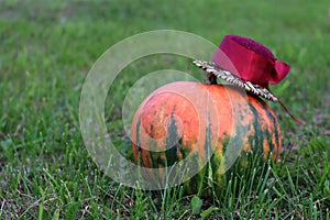 Festively dressed pumpkin in a hat on a garden plot, close - up-the concept of celebrating happy holidays