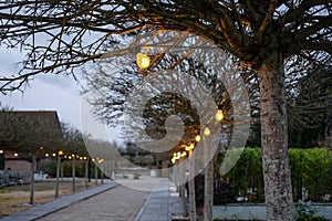 Festoon lighting seen strung from trees in a public retail area.