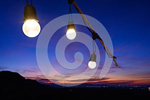 Festoon string lights decoration at the party event festival against sunset sky. light bulbs on branch with copy space. Outdoor