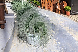 The festuca gautieri amigreen grass planters are located along the edges of the garden path. Wooden models of small houses with