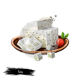 Feta cheese with berry on plate digital art illustration isolated on white background. Fresh dairy product, healthy organic food