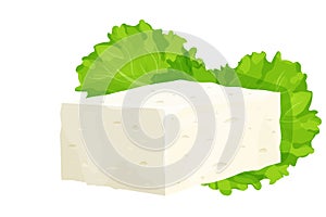 Feta cheese piece in cartoon style detailed ingredient isolated on white background. Greek curd white cheese made from