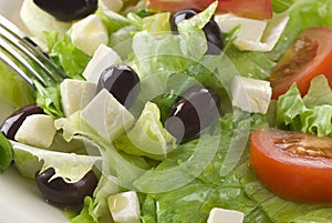 Feta Cheese Salad