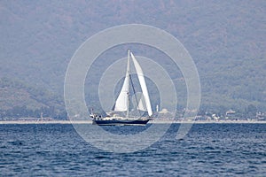 Magnificent sea and floating sail boats