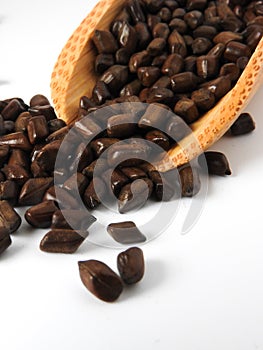 Fetid cassia seed also called ketsumei-shi on wooden spoons scattered isolated on a white background. photo