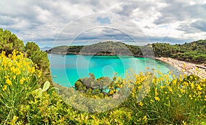 Fetovaia beach on Elba island, Tuscany, Italy