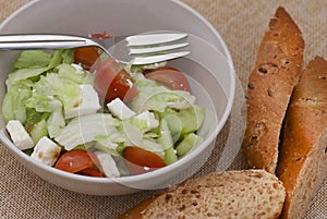 Fetta salad with slices of bread photo