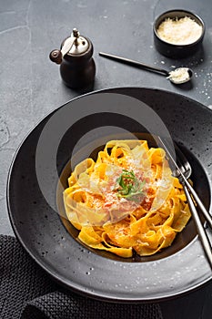 Fettuccine pasta with traditional Italian passat sauce and parmesan cheese in light plate on old white concrete background. Top