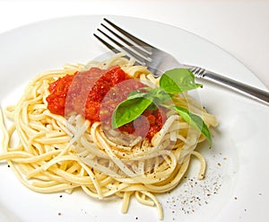 Fettucine pasta photo
