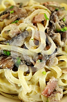 Fettucini Carbonara