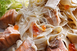 Fetuccini with salmon. Pasta with salmon, close-up