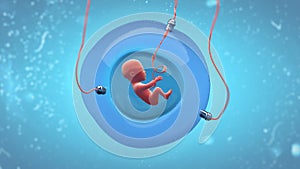 Fetus development in an artificial gestational sac