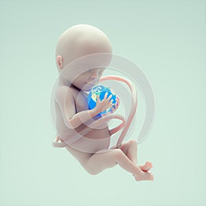 Fetus holding a earth globe