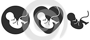 Fetus icon. Prenatal human child with placenta symbol. Embryo sign. Vector illustration