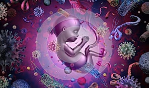 Fetus Infectious Disease photo