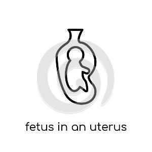 Fetus in an uterus icon. Trendy modern flat linear vector Fetus