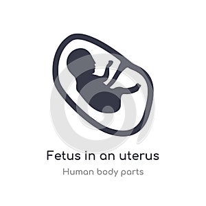 fetus in an uterus outline icon. isolated line vector illustration from human body parts collection. editable thin stroke fetus in