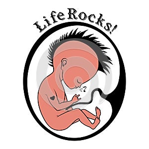 Fetus in womb photo