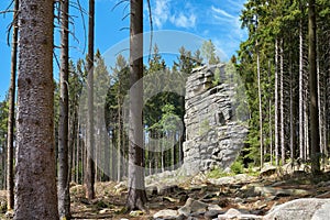 Feuersteinklippe in the Harz National Park