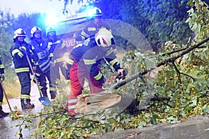 Dispowering of reduced trees - fire brigade photo