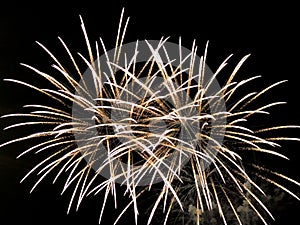 Feuerwerk am schwarzen Himmel photo