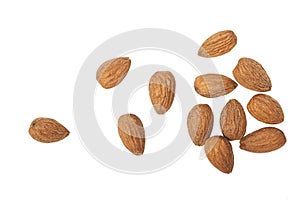 A few almonds isolated photo