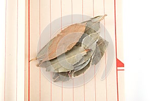 A few bay leaves on a notebook