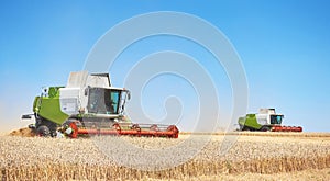 A few combines cutting a swath through the middle of a wheat field during harvest