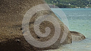 Few crabs on the stone