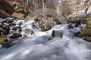 The spring of Cerna river,Romania