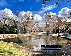 Park landscape with a bench and white clouds