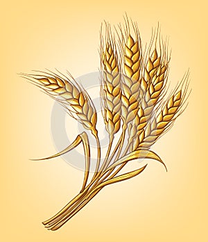 A few ears of wheat on a beige background