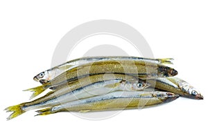 Few fresh raw european smelt fishes isolated on white background