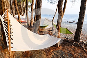 A few hammocks are hung between the pines on the beach of Black sea for a comfortable rest