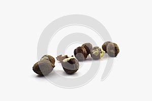 A few hazelnuts isolated on a white background. Well suited for baking