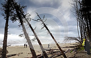 A few individuals explore the beaches in turbulent weather on the shore of Vancouver Island