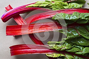 Few large Leafs of Red -stemmed chard