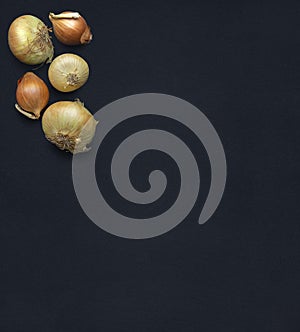 A few onions on a background of natural black textured pastel paper, top view. Space for text, banner, background