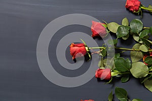 Few orange and red rose flowers on dark chalcboard surface. Bouquet on a blur abstract background with copy space.